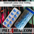 Sildenafil Oral Jelly 100Mg Kamagra 40